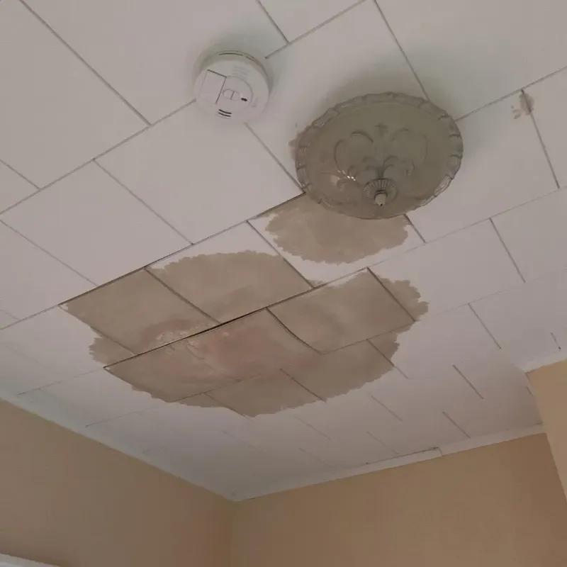Ceiling Water Damage Repair in Fort Riley North, KS
