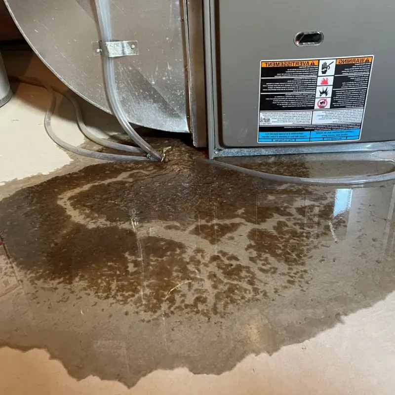 Pipe Burst and Leak Restoration in Fort Riley North, KS