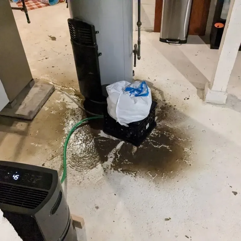 Sewage Backup Cleanup Service in Fort Riley North, KS